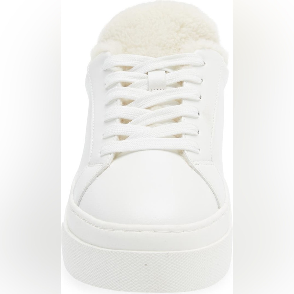 STEVE MADDEN STUDIO F SNEAKER